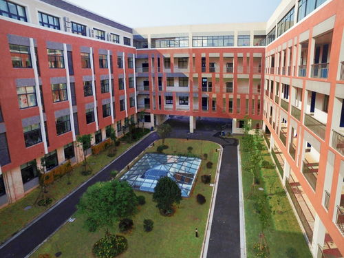 孩子如何進七寶德懷特高級中學 答案在這里