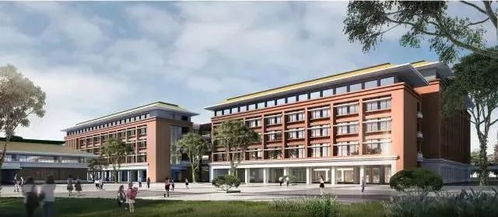 廣雅中學花都校區周邊將建三條路 預計明年6月完工