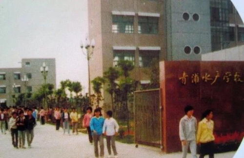 一組30多年前青浦的老照片,好珍貴啊