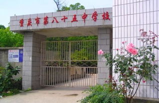 長江邊的老廠魅力 褪去輝煌，歸于寧靜