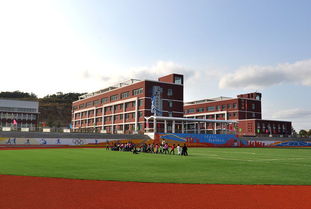 看不見的坑 開發商的配套陷阱與云鎮中學的現實困境