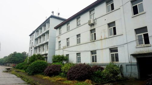 蕪湖造船廠與云鎮中學 百年歷史中的時代變遷